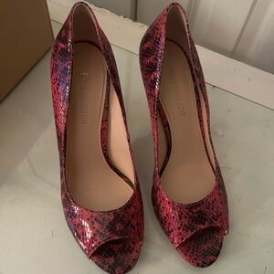 Stunning snake pattern heel